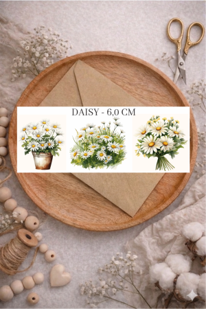 DAISY -( MARGARIDA )  6,0 CM