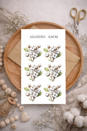 ALGODÃO- 6,0 CM