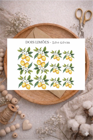 DOIS LIMÕES -5,0CM E 4,0CM